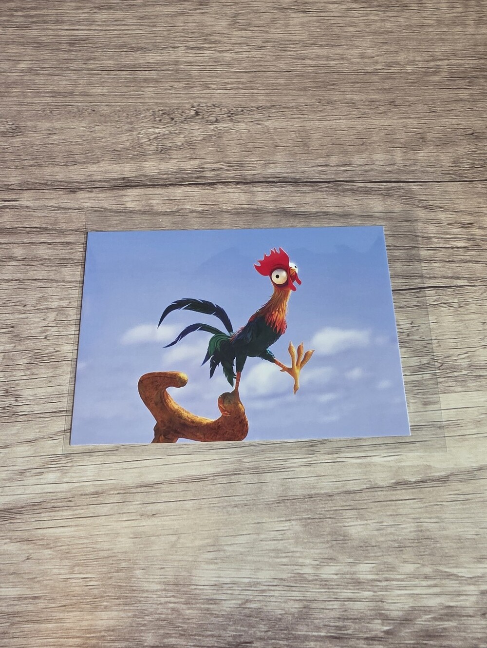 ✨️BUY 3 FOR $22 HeiHei, Moana, 2016 Postcard